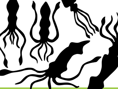 Squid Silhouette Vector hand drawing illustration silhouette squid vector