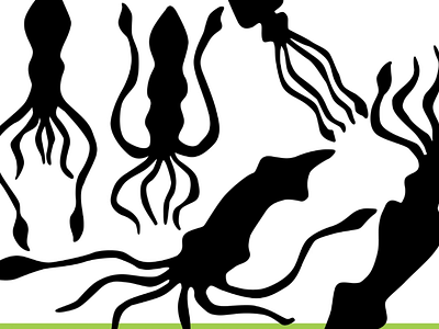 Squid Silhouette Vector