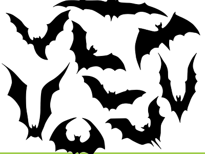 bats