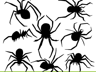 Spiders