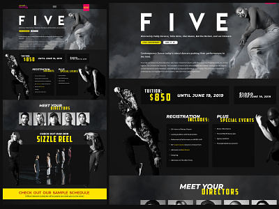 DancerPalooza - FIVE branding design event web design