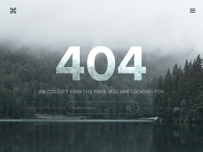 404 Page 404 dailyui error page search