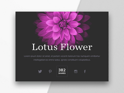 Social Share dailyui flower lotus share social ui