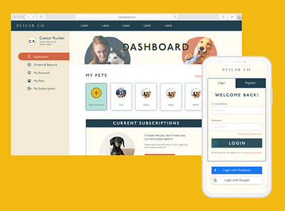 Pet Subscription Dashboard design mobile design web