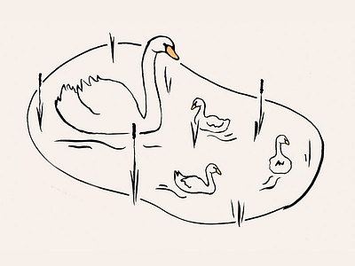 Swans illustration