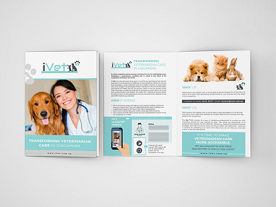 Medical Brochure Design