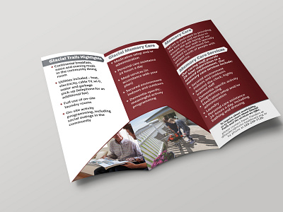 Tri Fold Brochure bi fold branding brochure brochure design design flyer illustration logo tri fold vector