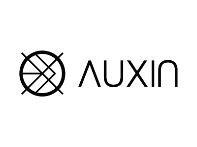 Auxin Logo black and white branding logo logo design minimal minimal logo minimalist typography