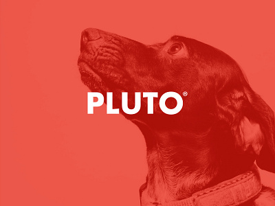 PLUTO. Branding brand brand design brand designer branding branding agency dog dog food identidad corporativa logo logo design logotipo marca pluto
