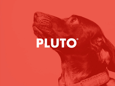 PLUTO. Branding