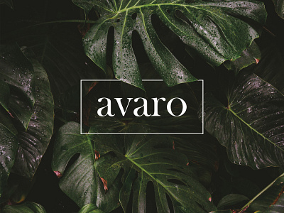 AVARO. Logo design brand identity branding design logo logo design logotipo