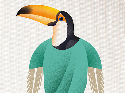 Tucano Man editorial illo illustration tucan