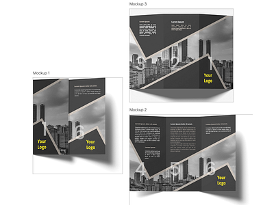 Three Folded Brochure Black