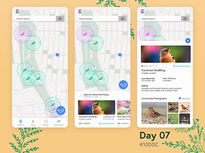 Birdwatch App 10ddc app bird birdwatching branding design map maps mobile mobile ui mobile ui design ui ux