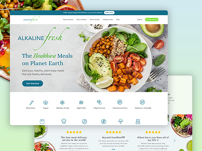 Vegan Fresh Meals Website Design banners design food meals online store vegan web design website design