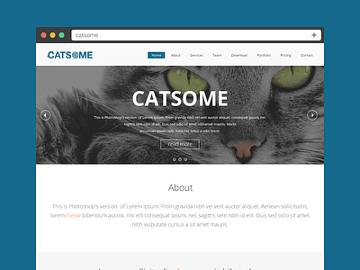 Catsome Final about button catsome clean contact download icon portfolio pricing services social team