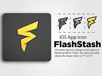 FlashStash icon