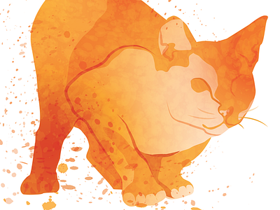 Active Cat Illustration for Canadian Pet food Company cat color movement