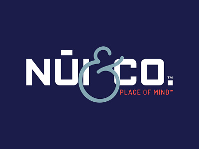 Nūi & Co. Final brand branding iconography identity logo web