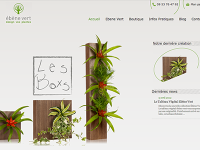 Ebene Vert boutique eboutique green plant shop site website