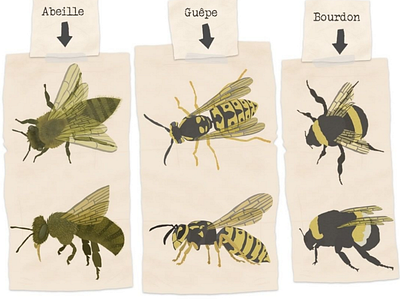 Bees, wasps and bumblebees bee bumblebee digital illustration insects wasp