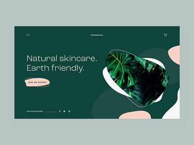 Natural Skincare landing page | Concept