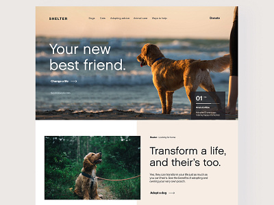 Adoption Website 2 adopt cats design dog flat minimal scandinavian ui web design website
