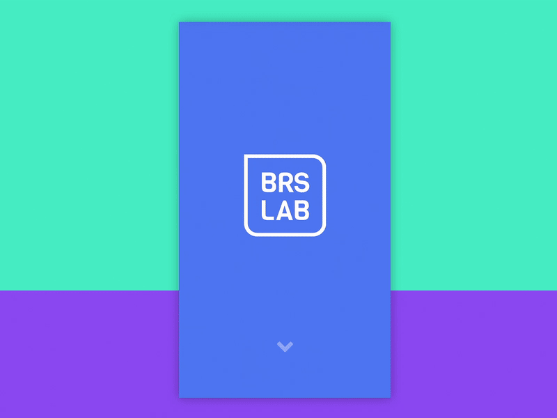 BRSLab Mobile | Web Agency
