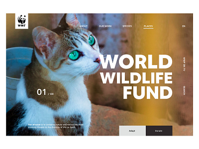 WWF: Header Concept