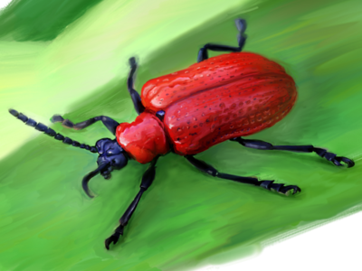 Bug bug illustration