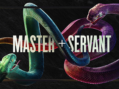 Master & Servant 3d cgi colour creative design line render snakes