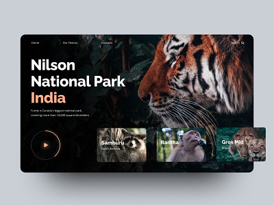 National parks catalog 2022 dark ui design desktop digital landing top shots ui web