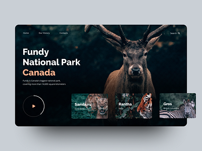 National parks 2019 animal animals dark dark ui design digital top shots ui