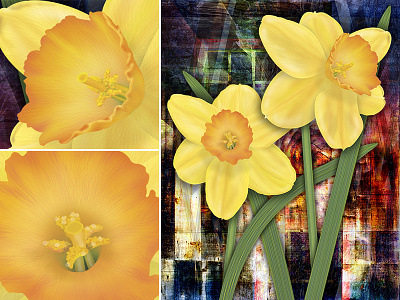 Rustic Daffodils botanical daffodils flowers illustration jonquils narcissus nature photo collage pistil spring bulbs stamen stylized