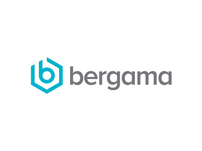 Bergama Plastic advertising brand design graphic logo plastic