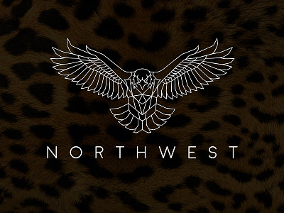 This logo is designed by me for Northwest LLC