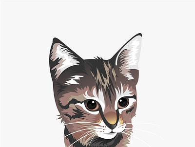 kitty animal catty graphic design illustration pets