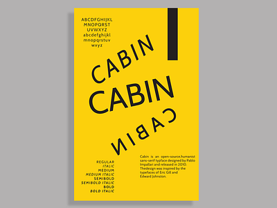 Cabin Poster