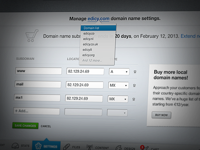 DNS settings screen cms domains ui