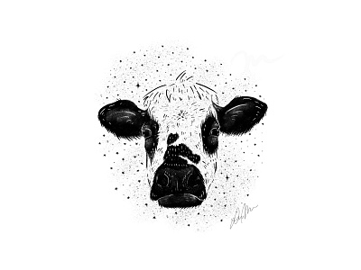 Cow Illustration animal illustration procreate