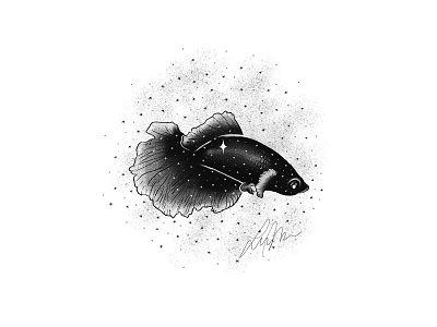 Beta Illustration animal fish illustration procreate