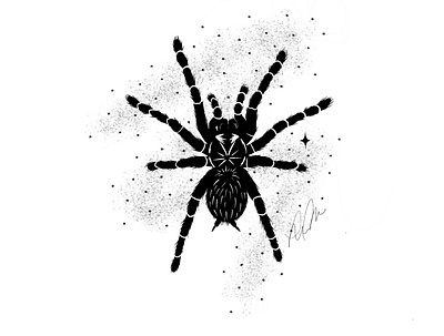 Tarantula animal halloween illustration inktober procreate spider