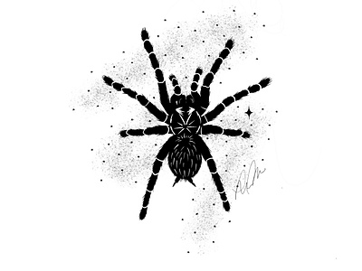 Tarantula