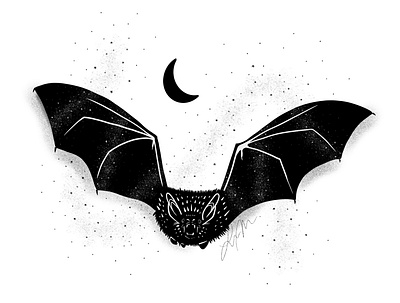 Bat animal bat halloween illustration inktober procreate