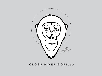 Cross River Gorilla animal illustration vector