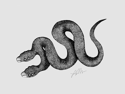 Serpent Drawing drawing graphite serpent snake weird