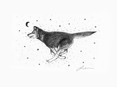 Wolf Illustration animal art drawing graphite drawing illustration wolf