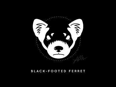 Black-Footed Ferret animal endangered ferret illustration illustrator cc vector