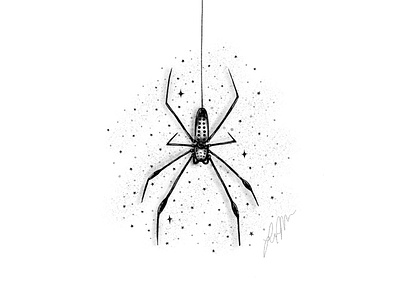 Spider animal animal art animal illustration drawing illustration inktober inktober2019 procreate spider