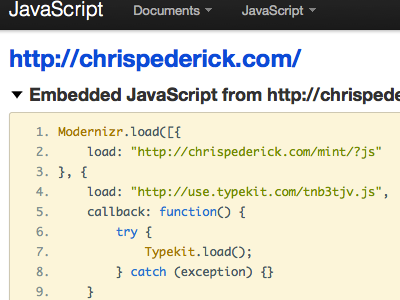 Web Developer 'View Javascript'